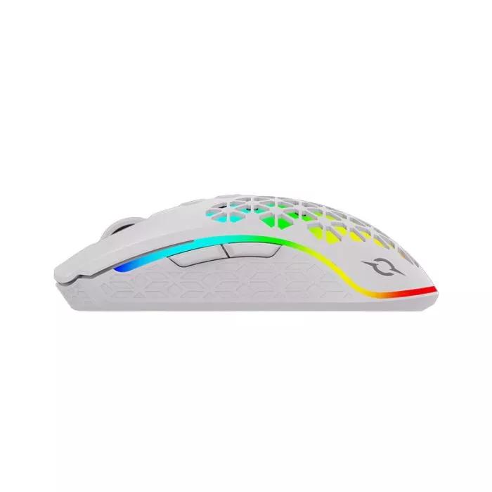 Product gallery /uploads/gallerie/1713430748196.webp