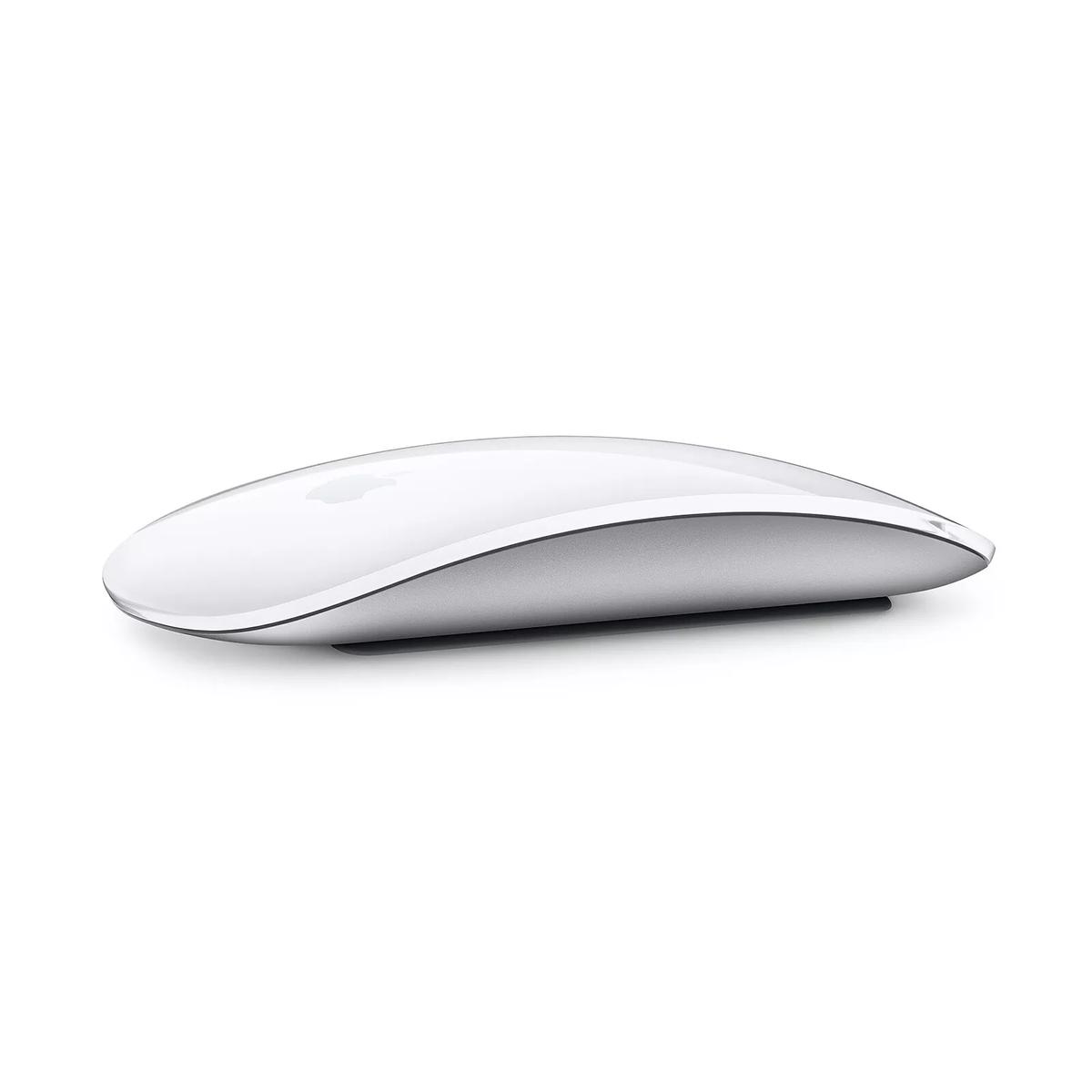 Product gallery /uploads/gallerie/1724947121412.webp