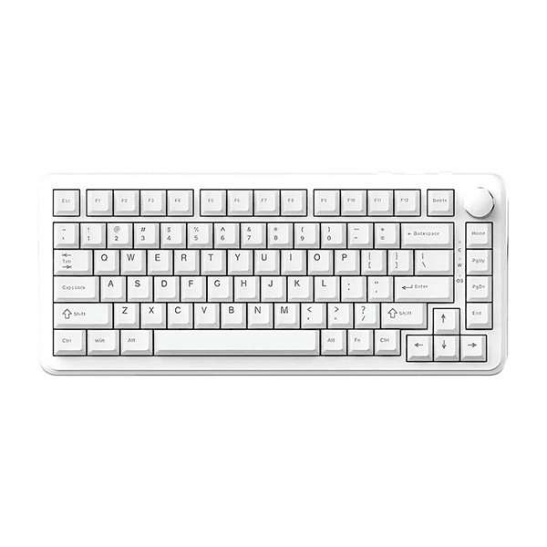 Product gallery /uploads/gallerie/1772537958279.png